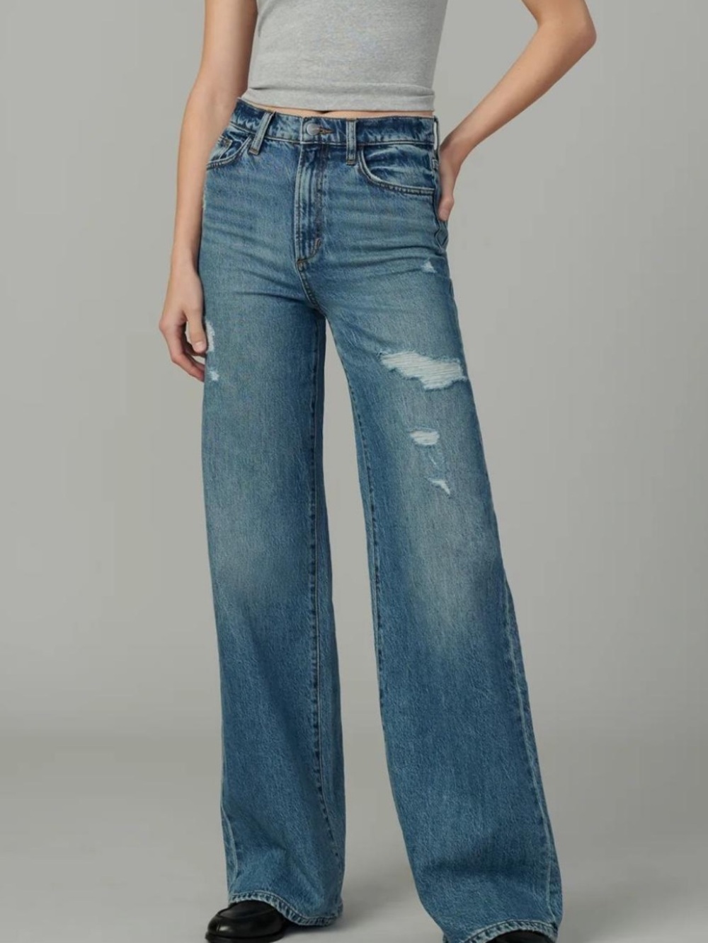 Joes jeans The Mia High Rise Wide Leg